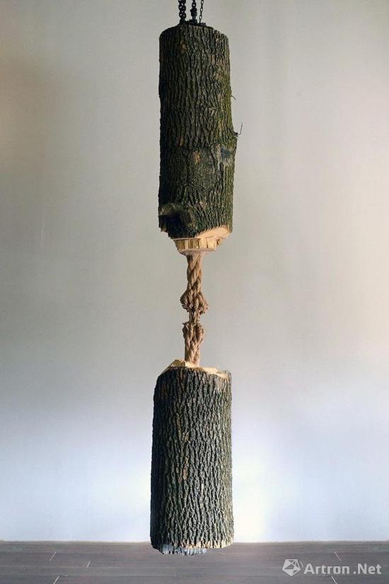 艺术家将悬挂的树干雕塑创作出让人叹息的破旧绳索