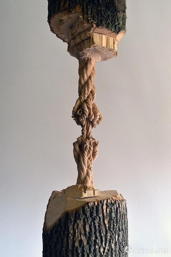 艺术家将悬挂的树干雕塑创作出让人叹息的破旧绳索