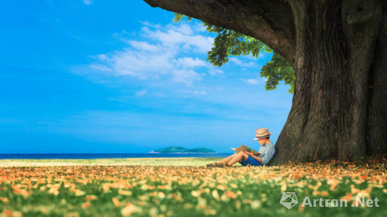 一座海边书屋的守望：石梅湾凤凰九里书屋的情怀