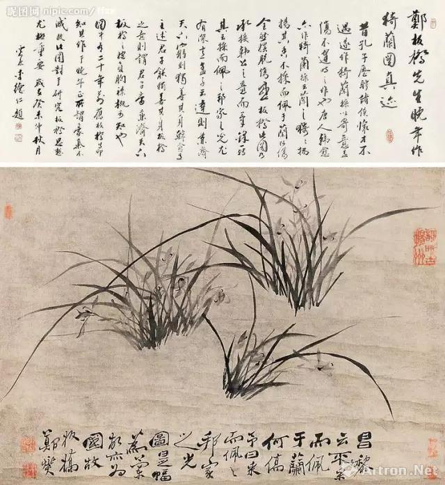 郑板桥画兰，画的是兰花的傲骨