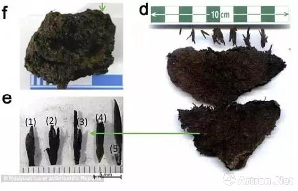 你饿不饿啊？给你下一碗4000年前的面条！