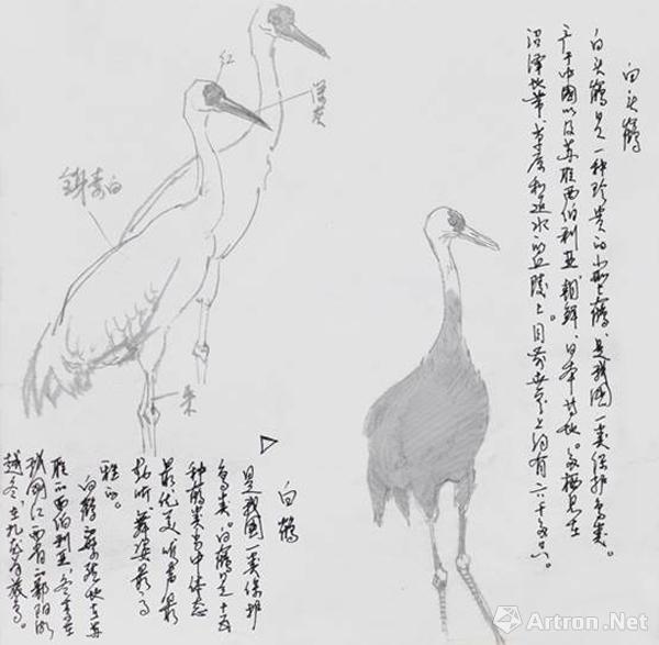 我画鹤,多以画丹顶鹤为主,也画过一些其他种类的鹤画作品,如《鹤魂》