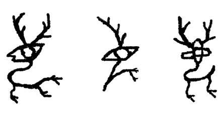 象形字和艺术大师毕加索《牛的变形过程》比较
