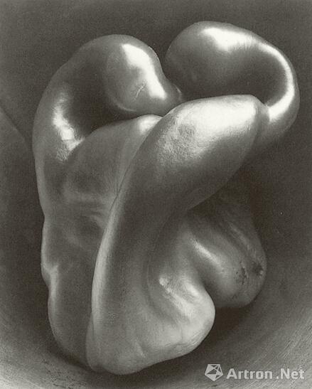 作品   称为"摄影界的毕加索"的爱德华·维斯顿(edward weston 1886—