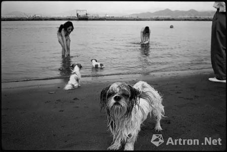 中国力量—中国摄影家余海波_艺术家提供_雅昌新闻