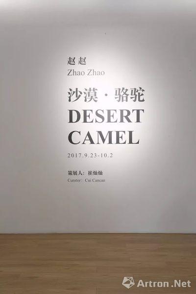 赵赵个展“沙漠·骆驼” 揭开隐喻之下的现实议题