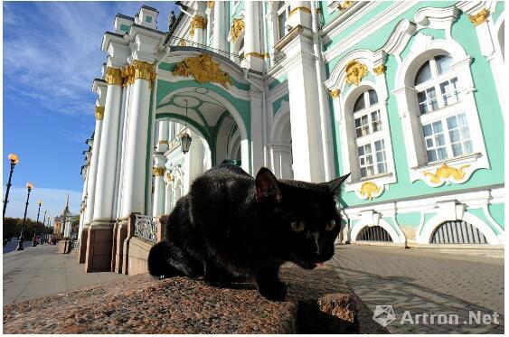 艾尔米塔什博物馆里的猫，Photo courtesy Olga Maltseva/AFP/Getty Images.