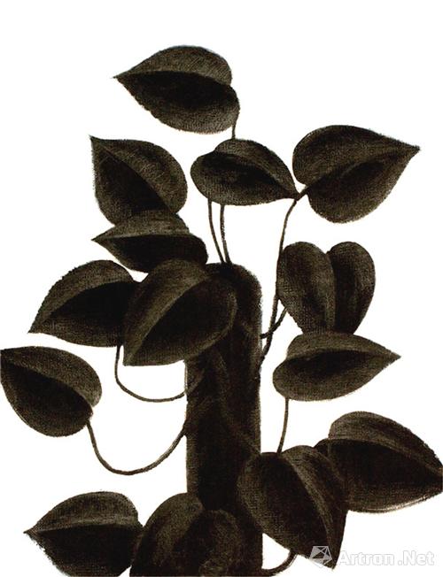 《植物3号》65×50cm