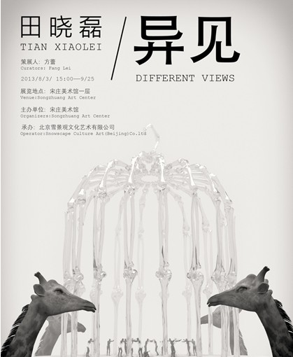 艺术家田晓磊《异见》个展8月开幕