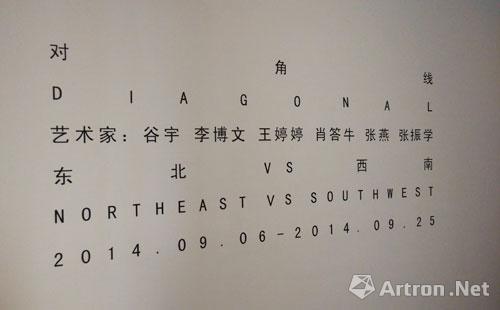 “对角线-构造新语境”当代艺术展在京开幕