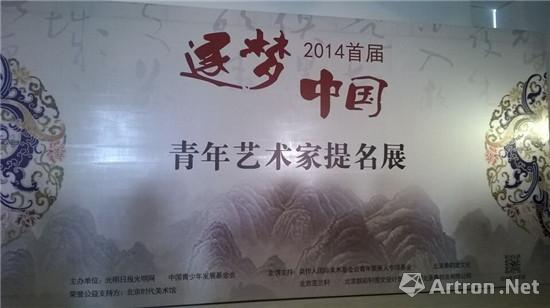 逐梦中国 2014首届青年艺术家提名展开幕