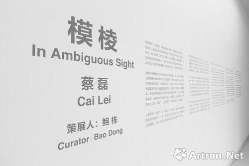 蔡磊个展“模棱”在林大艺术中心开幕 视错觉与多重空间体验的“真实”