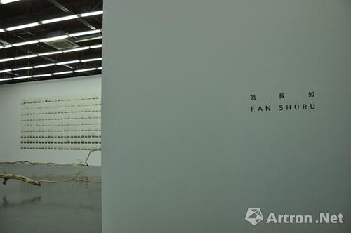 范叔如个展北京公社开幕  国内首展《线•誌》与《枝•生》系列作品